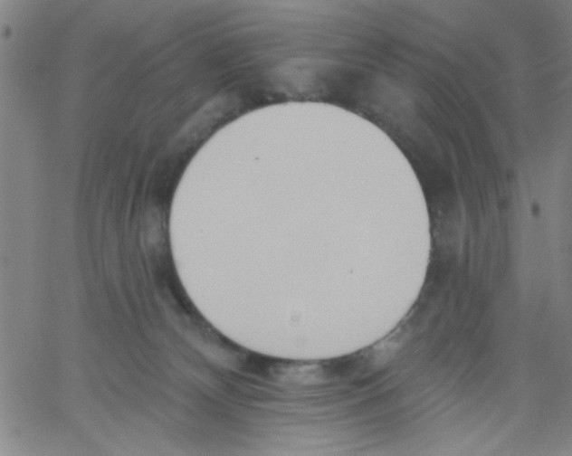 X0000061730132200512231444