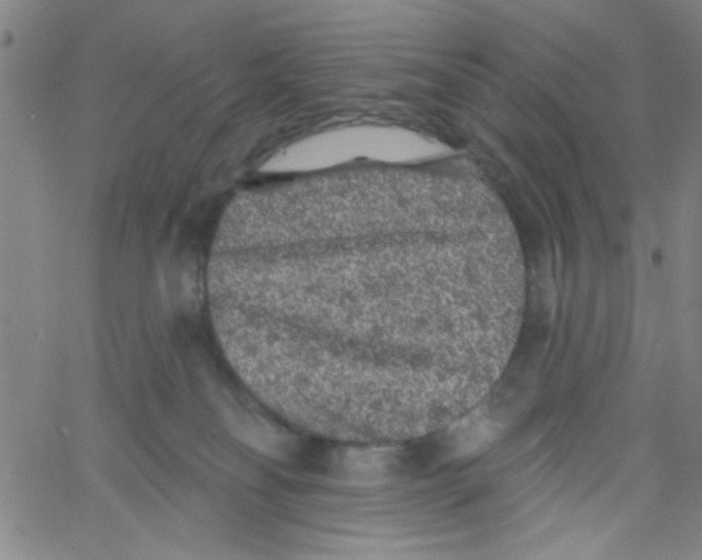 X0000061730134200512231444