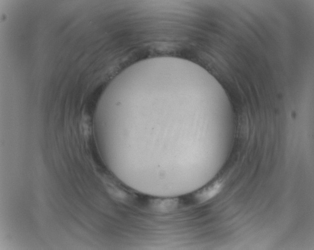 X0000061730135200512231444