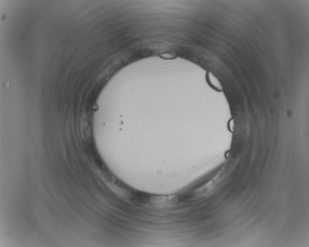 X0000061730136200512231444