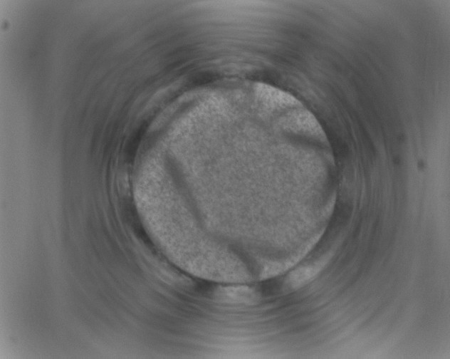 X0000061730137200512231444