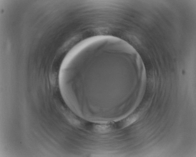 X0000061730139200512231444