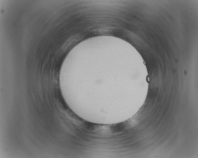 X0000061730140200512231444