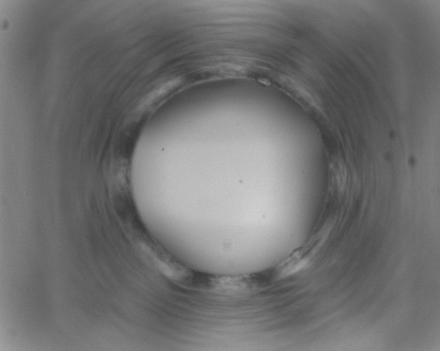 X0000061730141200512231444