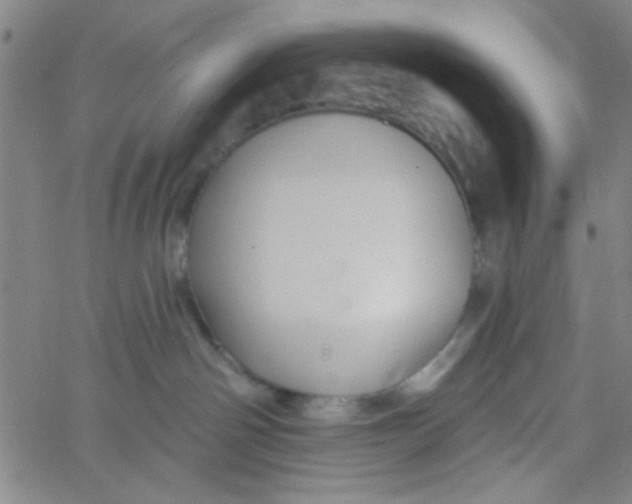 X0000061730142200512231444