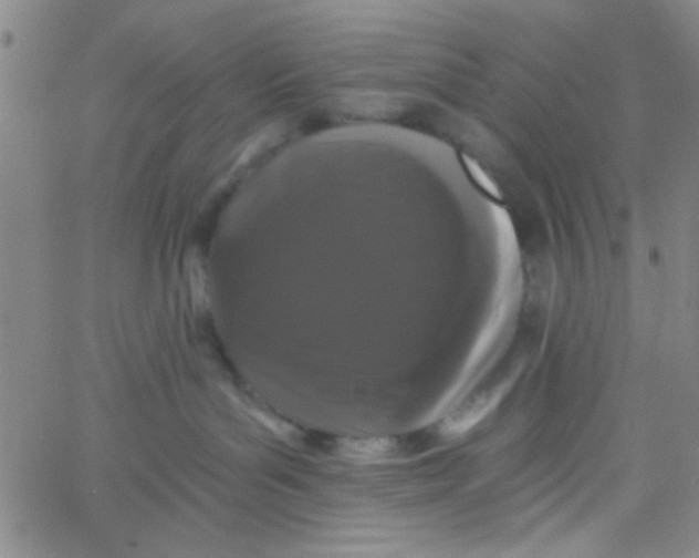 X0000061730143200512231444