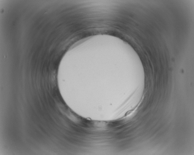 X0000061730144200512231444