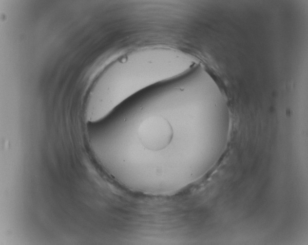 X0000061730146200512231443