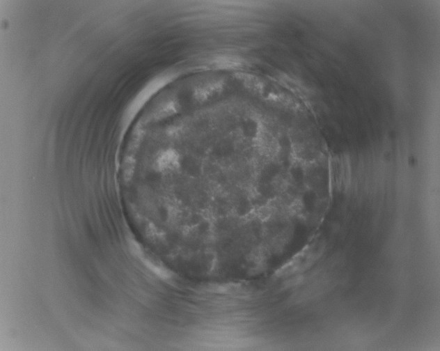 X0000061730147200512231443