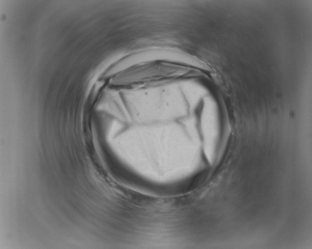 X0000061730148200512231443