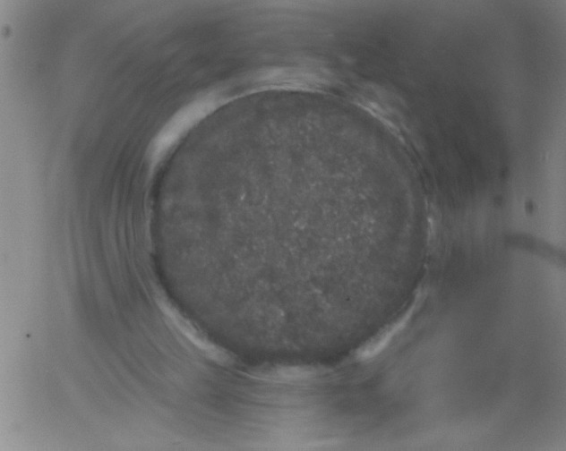 X0000061730149200512231443