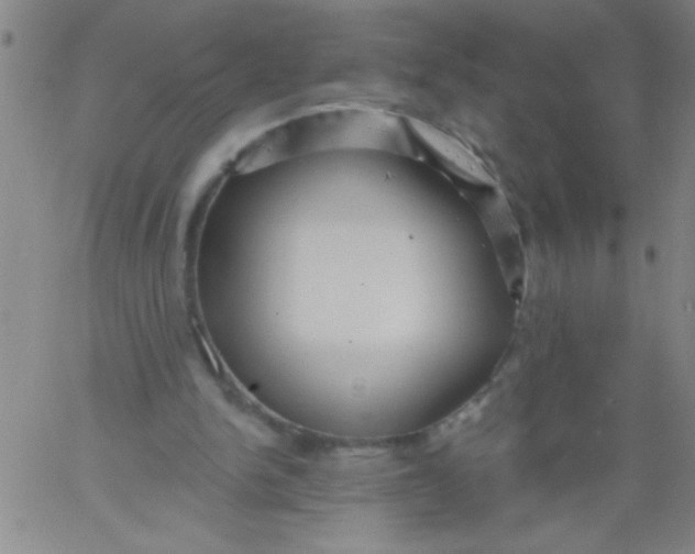 X0000061730150200512231443