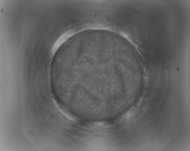 X0000061730151200512231443