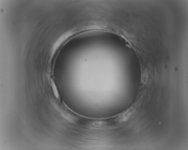 X0000061730152200512231443