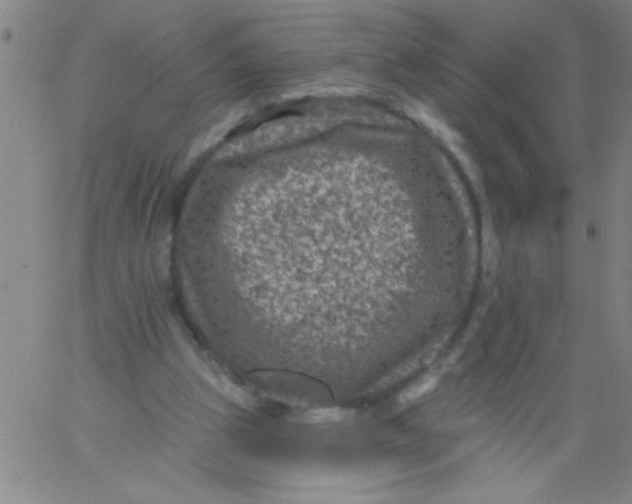 X0000061730153200512231443