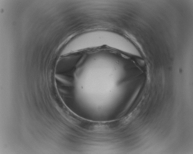 X0000061730154200512231443