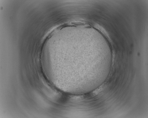 X0000061730155200512231443