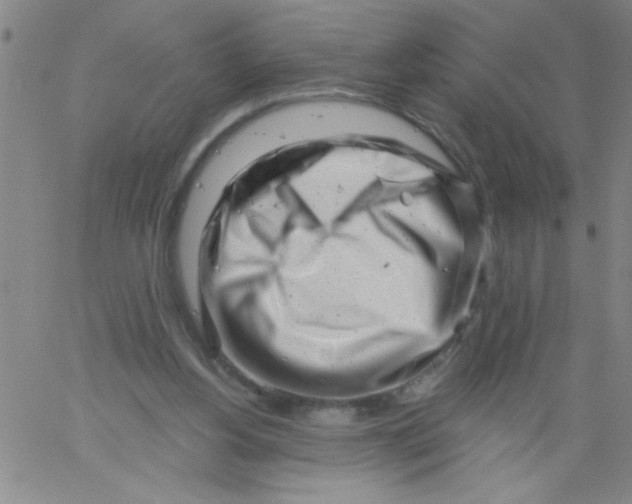 X0000061730156200512231443