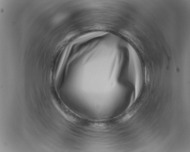 X0000061730157200512231443