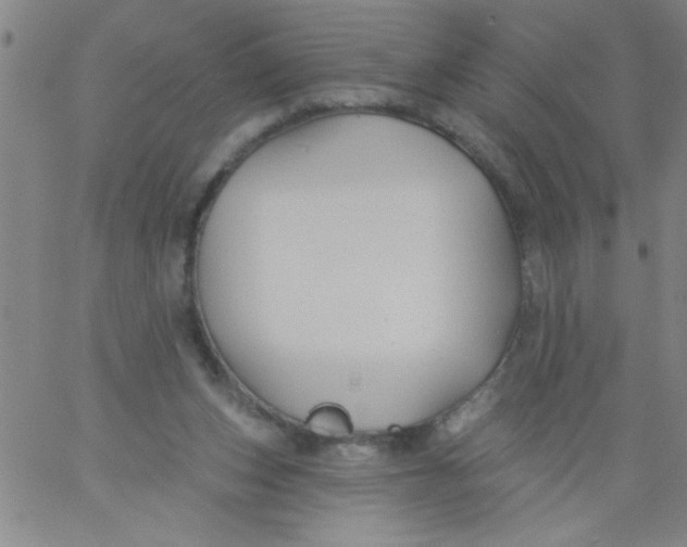 X0000061730159200512231443