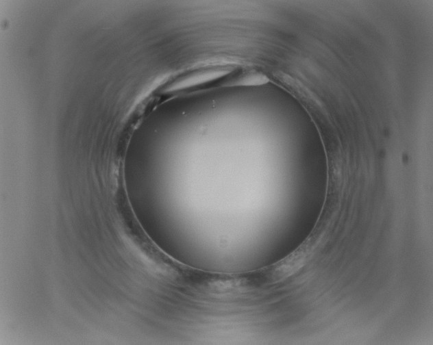 X0000061730160200512231443