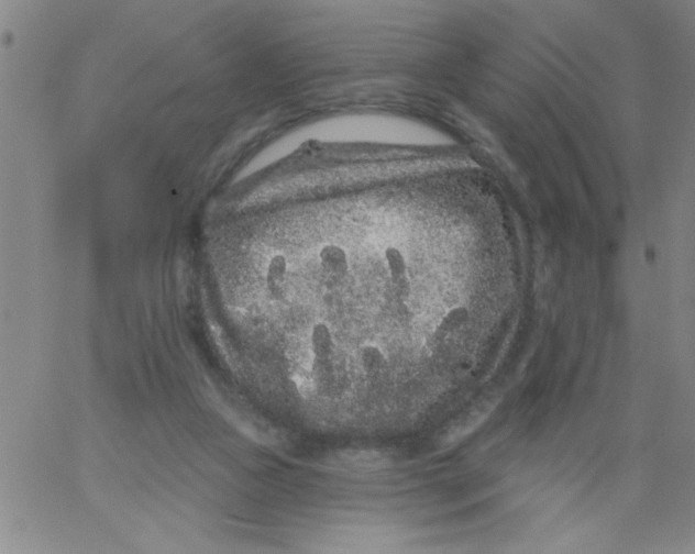 X0000061730161200512231443