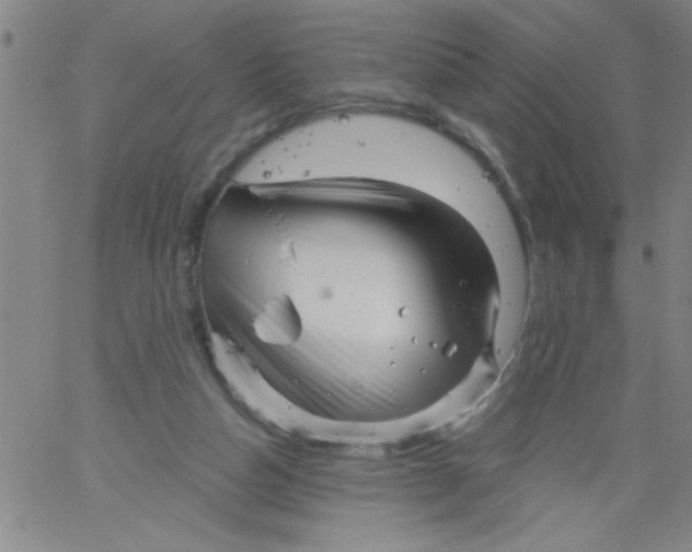 X0000061730162200512231443