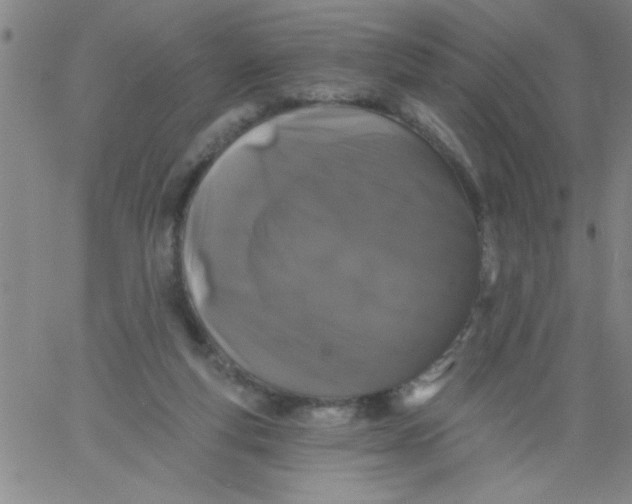 X0000061730163200512231443