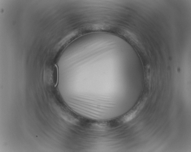 X0000061730164200512231443