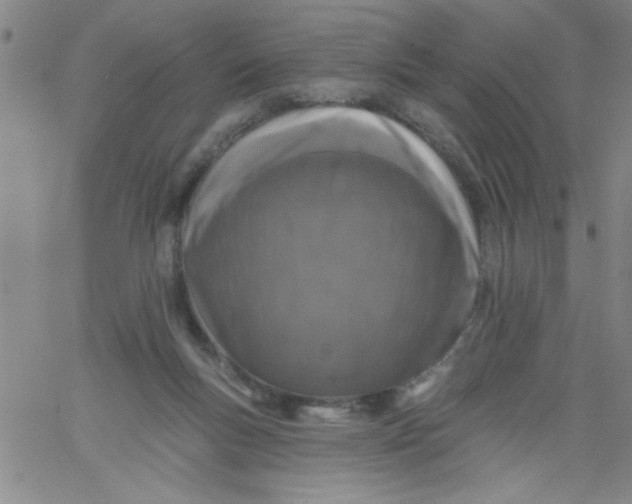 X0000061730167200512231444