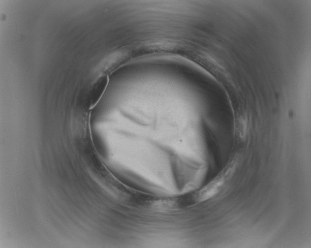 X0000061730168200512231444