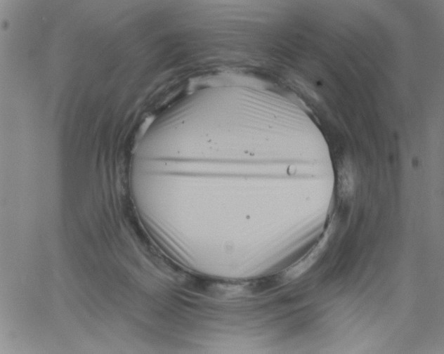 X0000061730170200512231444