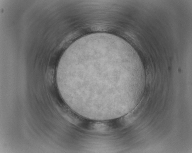 X0000061730171200512231444