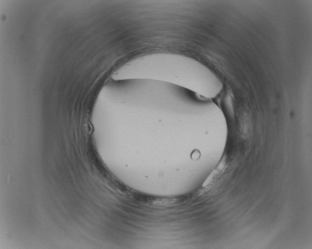 X0000061730172200512231444