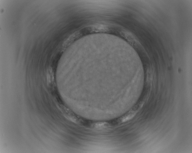 X0000061730173200512231444