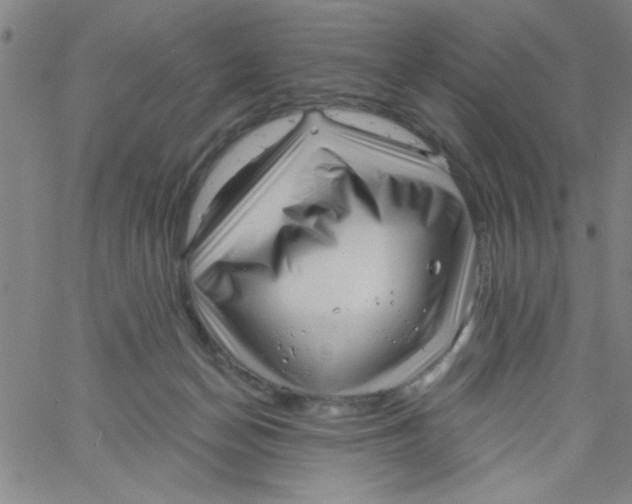 X0000061730174200512231444