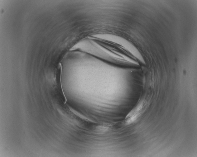 X0000061730176200512231444