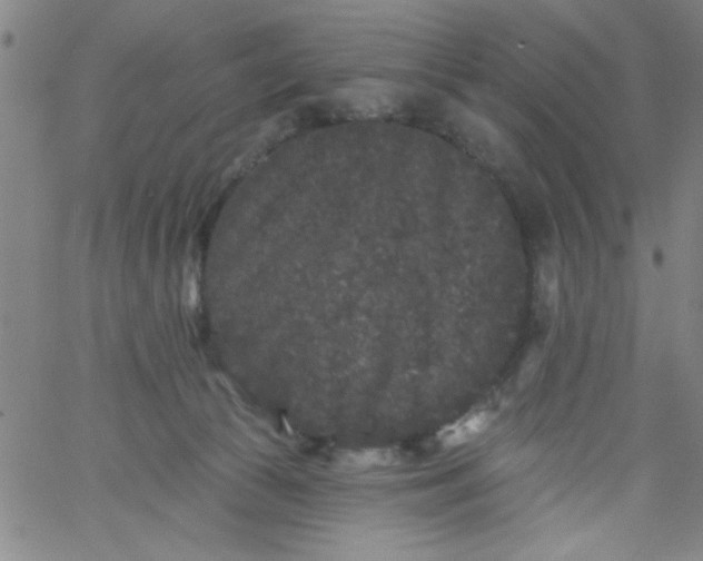 X0000061730177200512231444