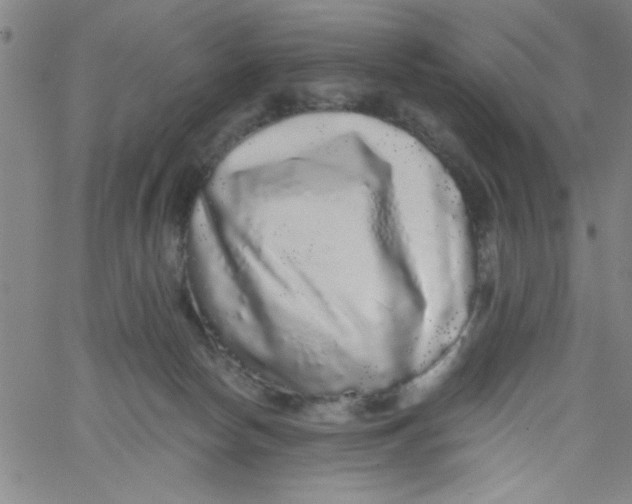 X0000061730178200512231444