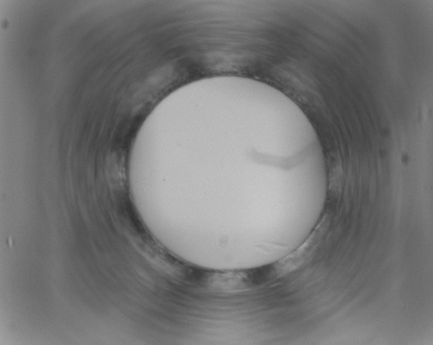 X0000061730179200512231444