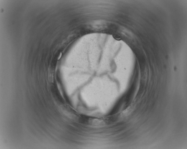 X0000061730180200512231444