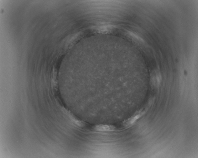 X0000061730181200512231444