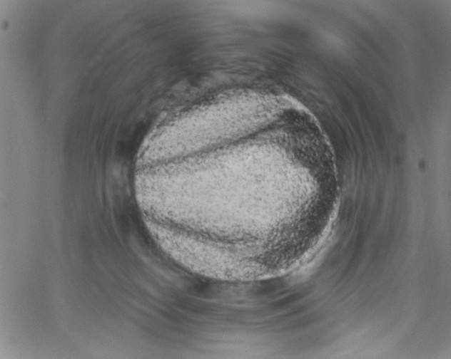 X0000061730182200512231444