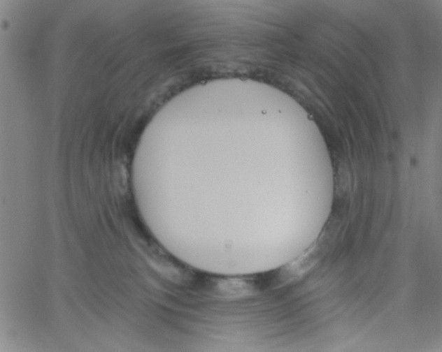 X0000061730183200512231444