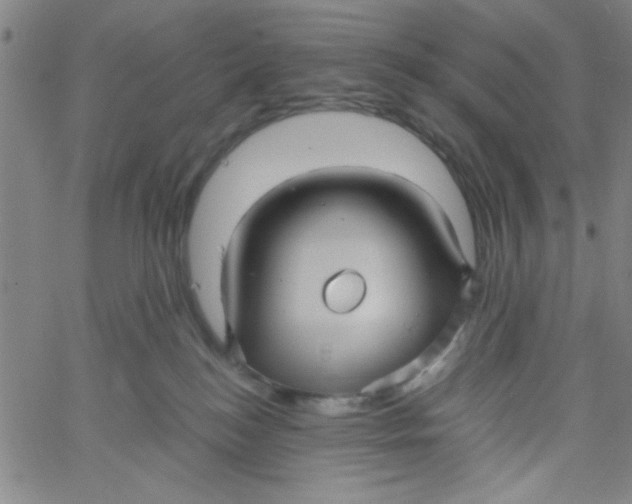 X0000061730184200512231444