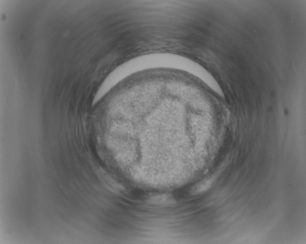 X0000061730185200512231444