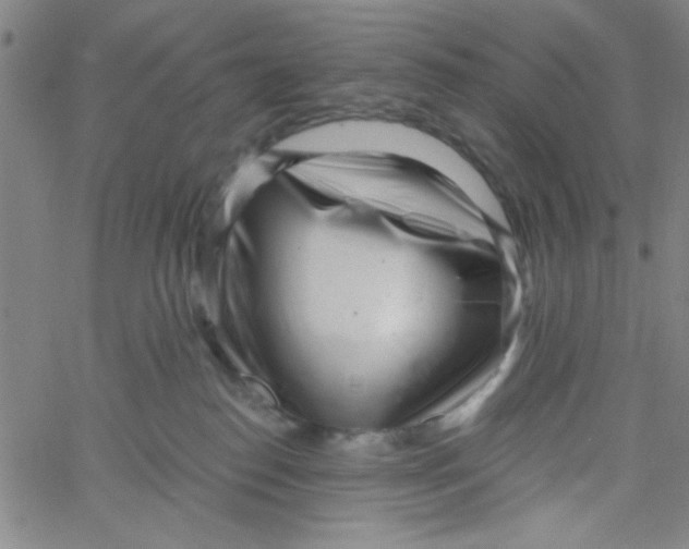 X0000061730186200512231444