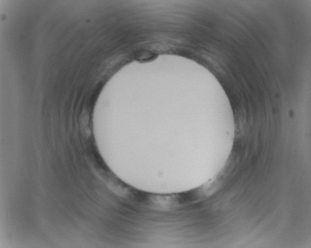 X0000061730187200512231444