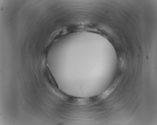 X0000061730188200512231444