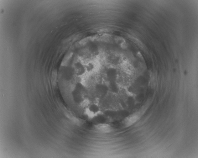 X0000061730189200512231444